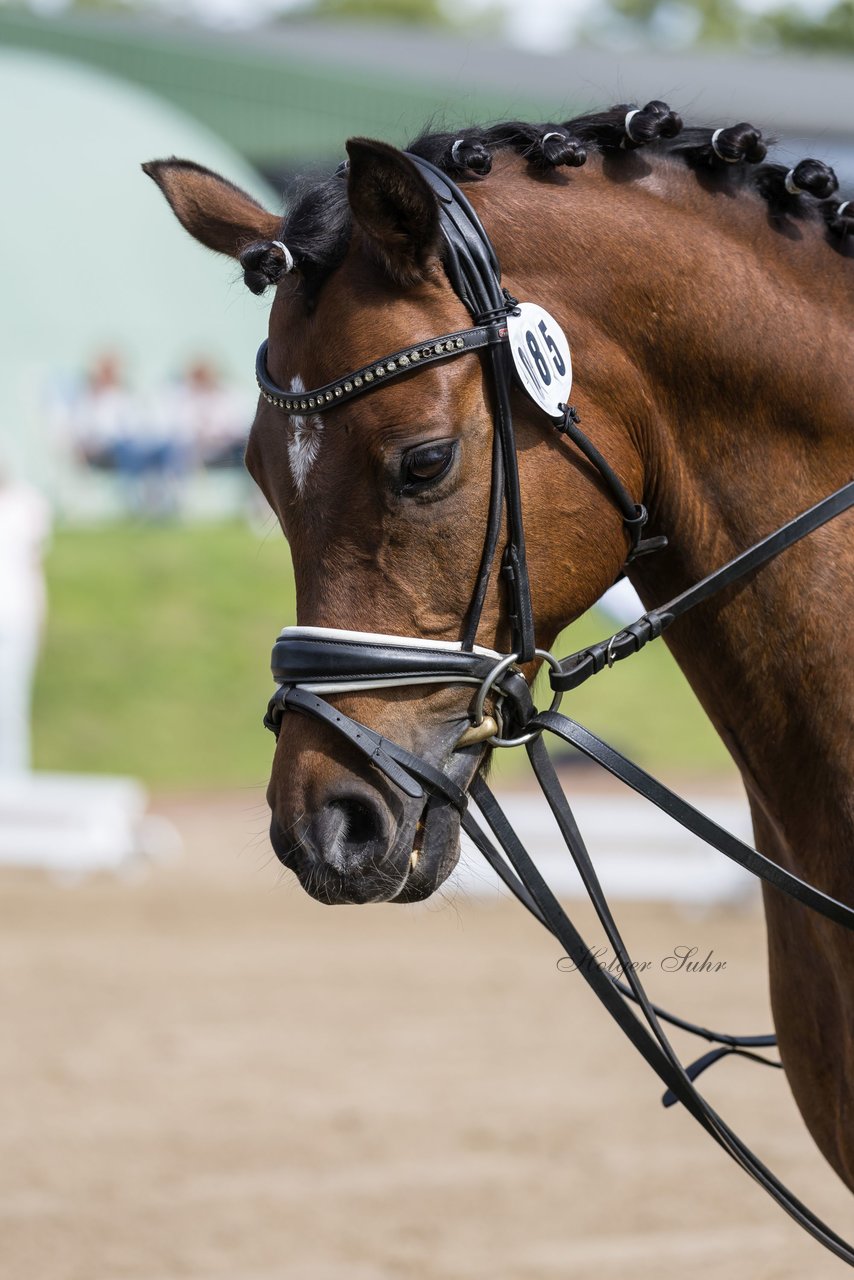 Bild 90 - Pony Akademie Turnier